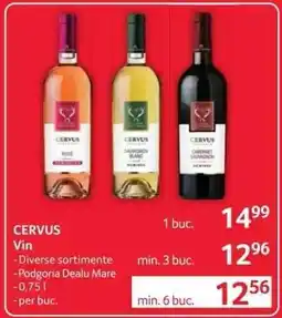 Selgros Cervus Vin Ofertă