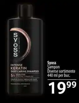 Selgros SYOSS Ofertă