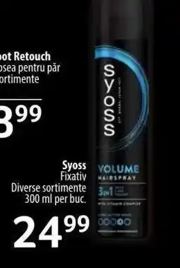 Selgros SYOSS Fixativ Ofertă