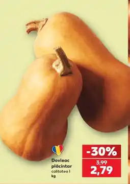 Kaufland Dovleac plăcintar Ofertă