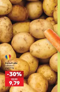 Kaufland Cartofi albi Ofertă