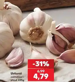 Kaufland Usturoi calitatea I Ofertă