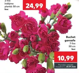 Kaufland Buchet garoafe Ofertă