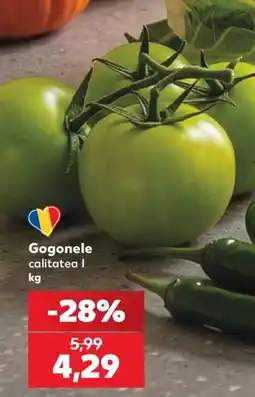 Kaufland Gogonele Ofertă