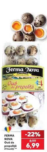 Kaufland Ferma Nova Ouă de prepeliță Ofertă