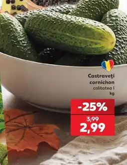 Kaufland Castraveți cornichon Ofertă