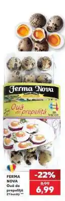 Kaufland FERMA NOVA Ouă de prepeliță Ofertă