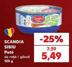 Kaufland SCANDIA SIBIU Pate Ofertă