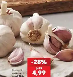 Kaufland Usturoi Ofertă