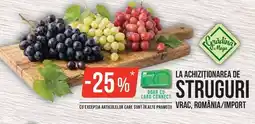Mega Image Grădina Mega struguri Ofertă