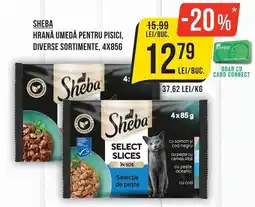 Mega Image Sheba hrană umedă pentru pisici Ofertă