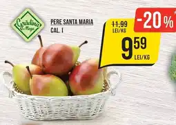 Mega Image Grădina Mega Pere Santa Maria Ofertă