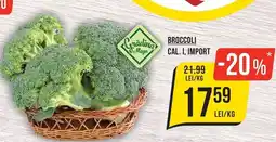 Mega Image Grădina Mega Broccoli Ofertă
