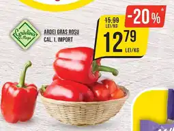 Mega Image Grădina Mega ardei gras roșu Ofertă