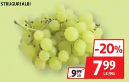 Auchan Struguri albi Ofertă
