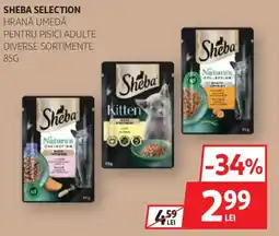 Auchan Sheba Selection hrană umedă pentru pisici adulte diverse sortimente Ofertă