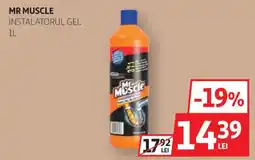 Auchan Mr Muscle instalatorul gel Ofertă