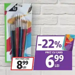 Auchan Pikok pensule de pictat Ofertă