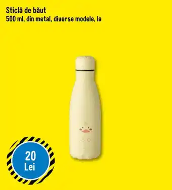 Sticlă de băut