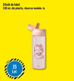 TEDI Sticlă de băut Ofertă