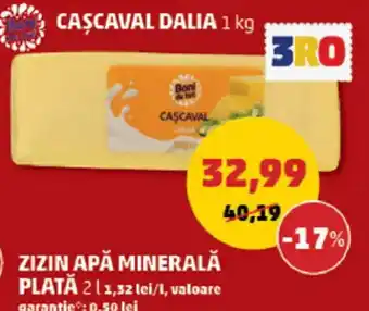 Bon! de tot cașcaval