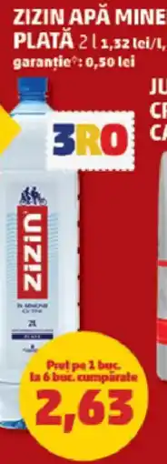 Penny Ziziz apa minerala plata Ofertă