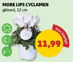 Penny More Lips Cyclamen Ofertă