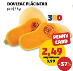 Penny 3RO dovleac plăcintar Ofertă