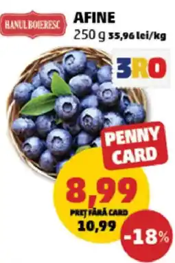 Penny Hanul Boieresc afine Ofertă