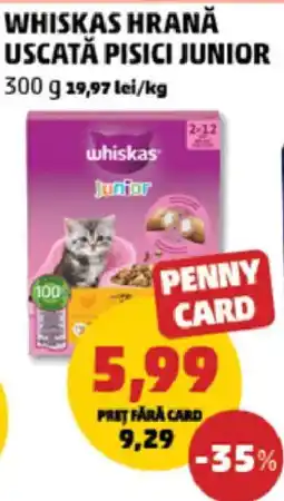 Penny whiskas hrană uscată pisici junior Ofertă