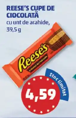 Penny Reese's cupe de ciocolată Ofertă