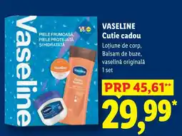 Lidl Vaseline cutie cadou Ofertă