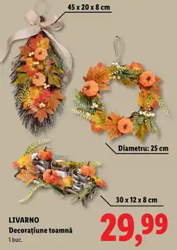 Lidl LivarNo Decoratiiune toamna Ofertă