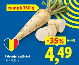 Lidl Pătrunjel rădăcină Ofertă