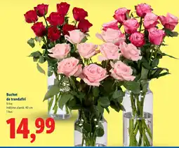 Lidl Buchet de trandafiri Ofertă