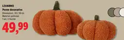 Lidl Livarano perne decorative Ofertă