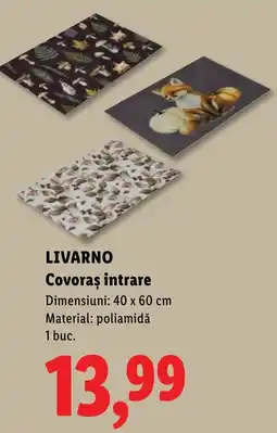 Lidl LivarNo covoraș intrare Ofertă