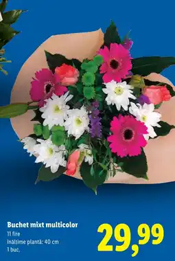 Lidl Buchet mixt multicolor Ofertă