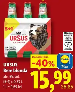 Lidl Ursus bere blondă Ofertă