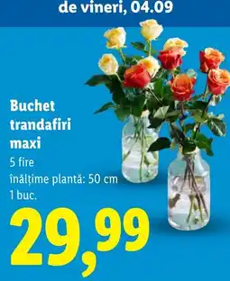 Lidl Buchet trandafiri maxi Ofertă