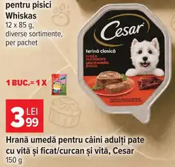 Carrefour Cesar hrană umedă pentru câini adulți Ofertă