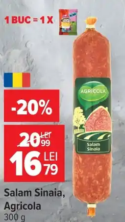 Carrefour Salam Sinaia Ofertă