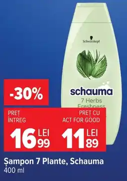 Carrefour Schauma sampon Ofertă