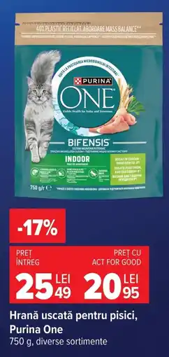 Carrefour Market Purina One Ofertă