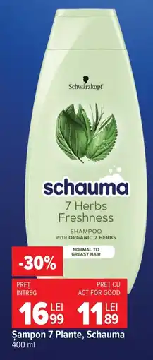 Carrefour Market Schauma 7 Plante Ofertă