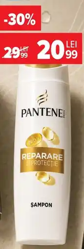 Carrefour Market Pantene Pro-V Sampon Ofertă