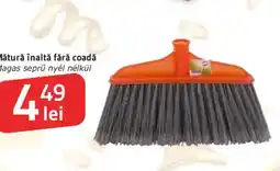 Supeco Mătură înaltă fără coadă Ofertă