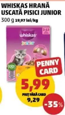 Penny WHISKAS HRANĂ USCATĂ PISICI JUNIOR Ofertă