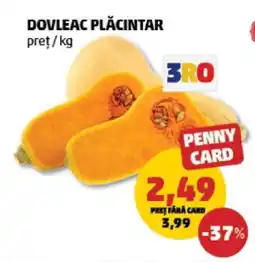 Penny Dovleac plăcintar Ofertă