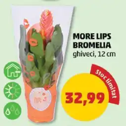Penny MORE LIPS BROMELIA Ofertă